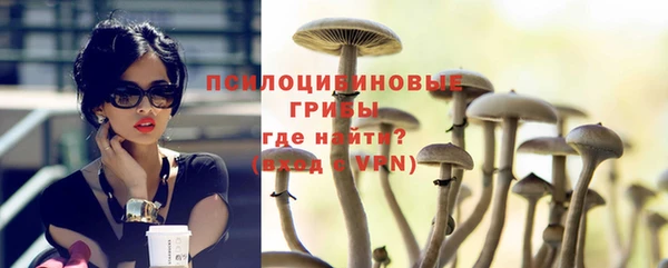 бошки Мегион