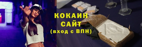 бошки Мегион